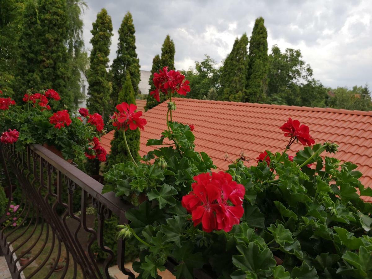 Julia Panzio Bed & Breakfast Hajduszoboszlo Exterior photo