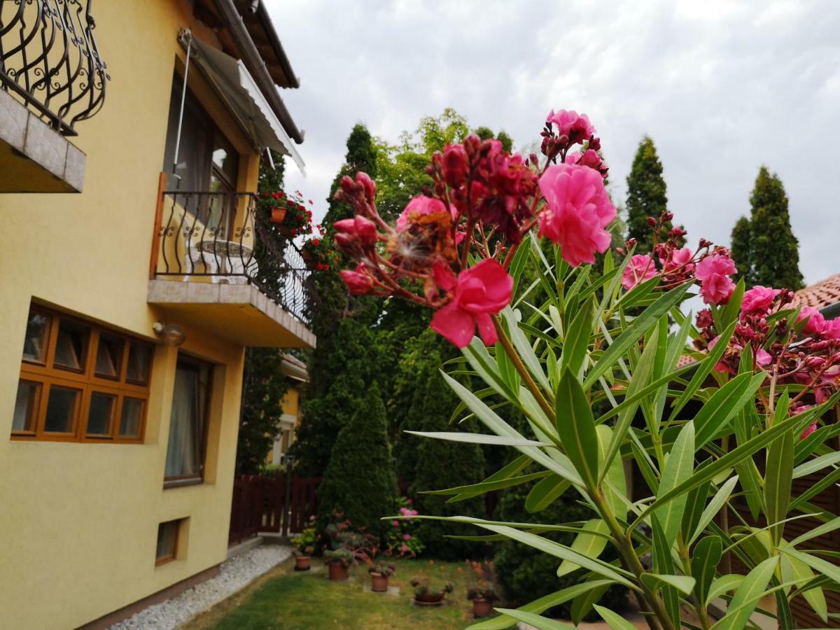 Julia Panzio Bed & Breakfast Hajduszoboszlo Exterior photo