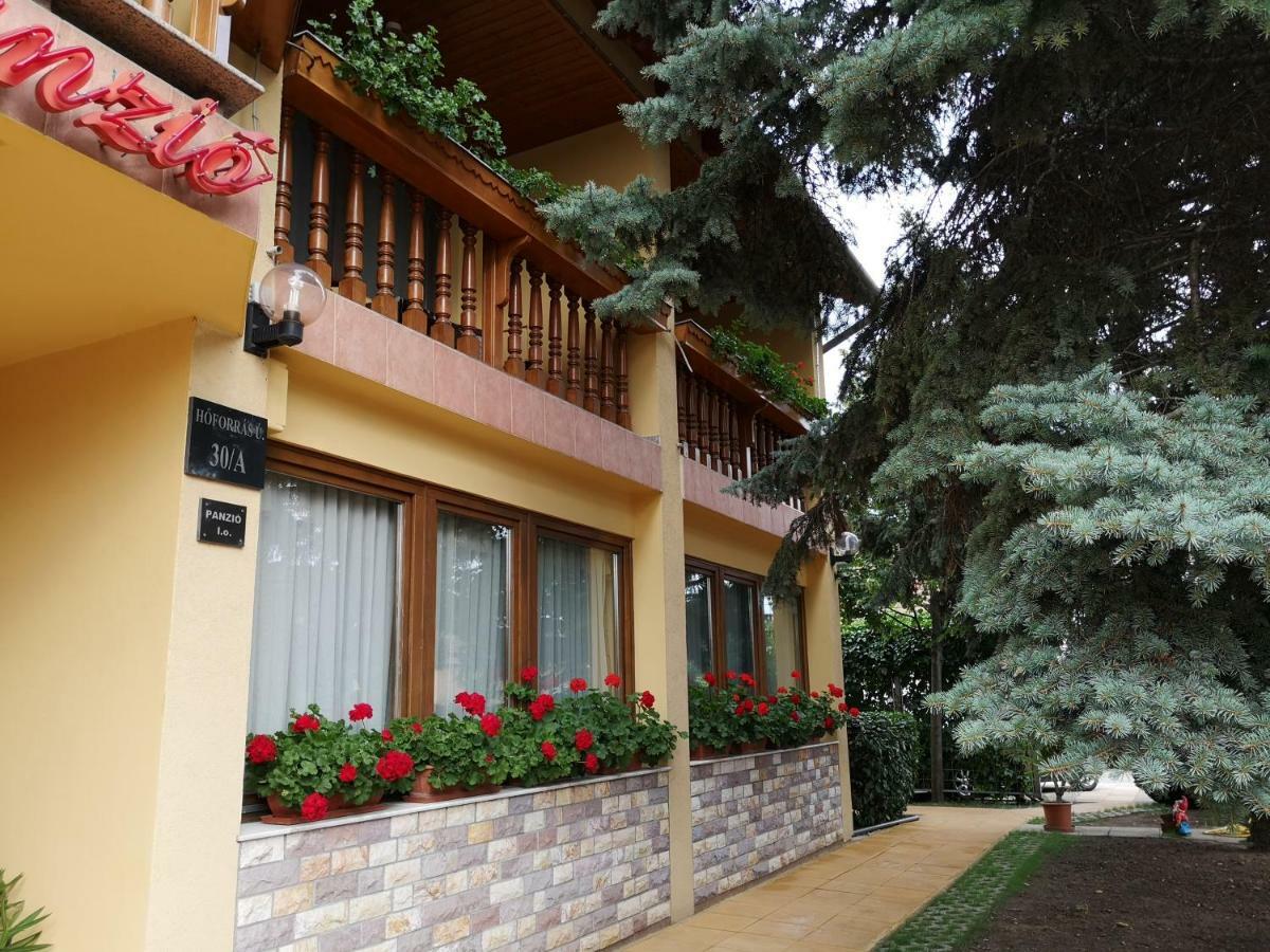 Julia Panzio Bed & Breakfast Hajduszoboszlo Exterior photo